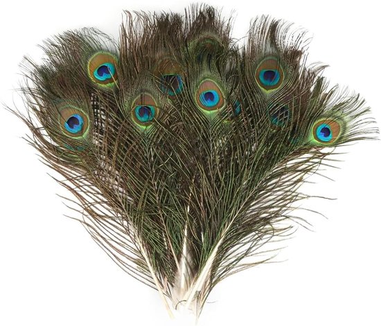12 stuks natuurlijke pauwenveren 25-30 cm, iriserend oog 4-6 cm, decoratieve veren voor hoeden, carnavalsmaskers, vazen en sieraden, knutselaccessoires voor bruiloften en doe-het-zelf creaties