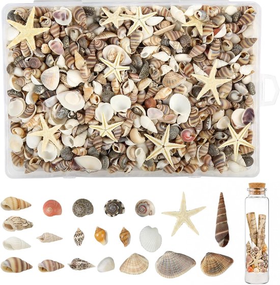 1210 stuks schelpen, 1-2,5 cm, mini-schelpen om te knutselen en zeesterren, met opbergdoos, gemengde schelpen, decoratie, kleine natuurlijke schelpenset voor doe-het-zelf, knutselen, sieraden maken