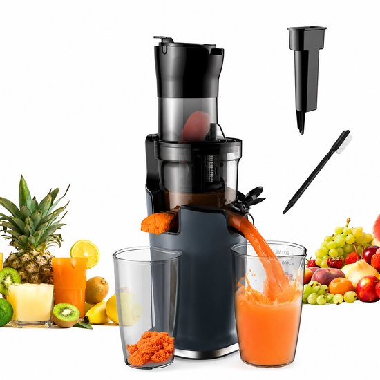 Brandistry - Sapcentrifuge - Koude Pers Juicer - Slowjuicer - Koudendranken - Groenten En Fruit - 200 Watt - 500 Ml - Zwart