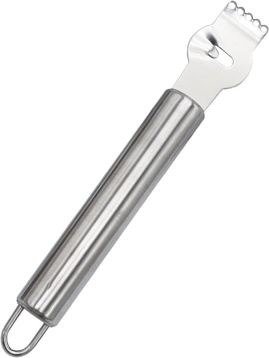 Citroen Rasp - Zesteur Dunschiller - Citrus Bereiden - Roestvrij Staal - 16.5 cm - Zilverkleurig
