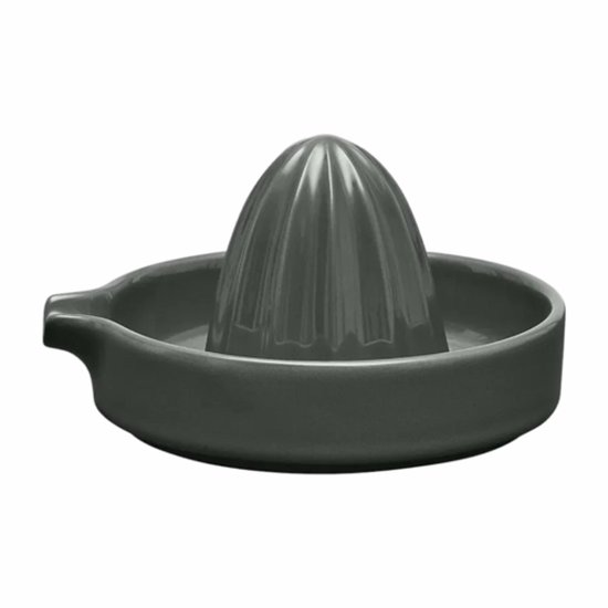 Citruspers Blomus Pilar Agave Green van Blomus