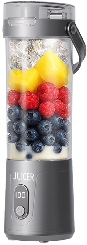Draagbare Blender – Mini USB Sapcentrifuge – Oplaadbare Persoonlijke Smoothie Maker – Voor Thuis - Kantoor & Reizen - 265*83*95mm -600mL - Grijs van Merkloos