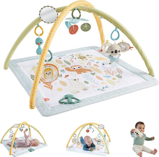 Fisher-Price Simply Senses gym voor baby's - Babygym van Fisher-Price