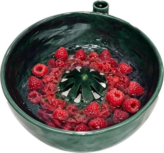 Fruit Groente Spinner - Bessen Reiniger - Snel Producten Wassen - Unieke Centrale Kegel - 15x15x8 cm - Groen
