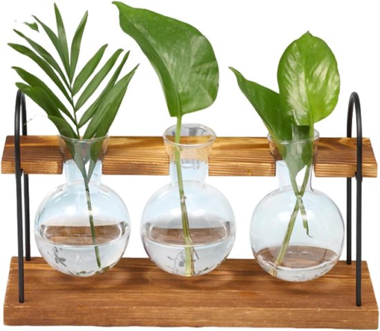 Glazen testbuis vaas voor plantenvermeerdering - Decoratieve plantenhouder, kweekstation en interieuraccessoire