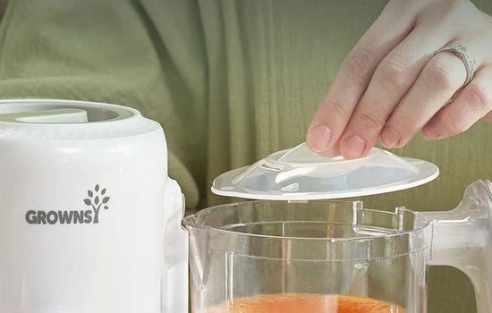 GROWNSY Babyvoedingsbereider met stoommand, stoompan, mixer en sterilisator in één apparaat, BPA-vrij, voor gezonde zelfgemaakte babyvoeding, BPA-vrij van grownsy