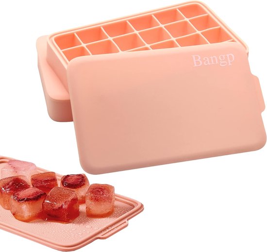 IJsblokjesbakken - 24 ijsblokjesbakken met afneembaar deksel van Merkloos