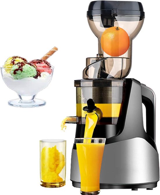 Koude Pers Fruitpers - Sapscheidingspers Omkeerbaar - Gezonde Dranken Maken - Langzame Sapextractie - 1000 ml - Zilver