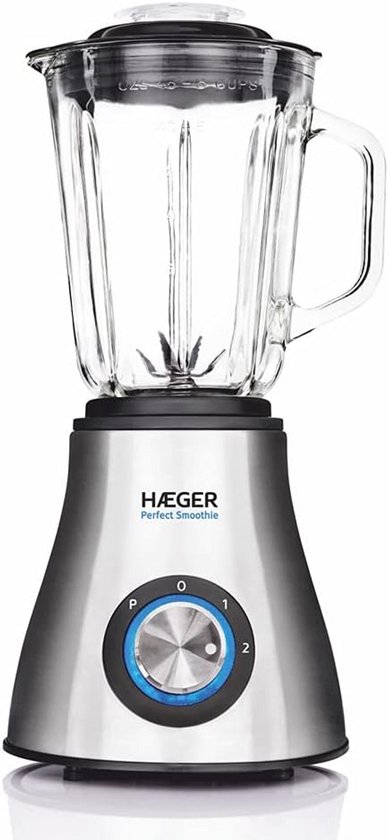 Krachtige Glas Blender voor Smoothies en Milkshakes - 600W