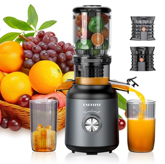 Krachtige Slow Juicer voor Vers Sap