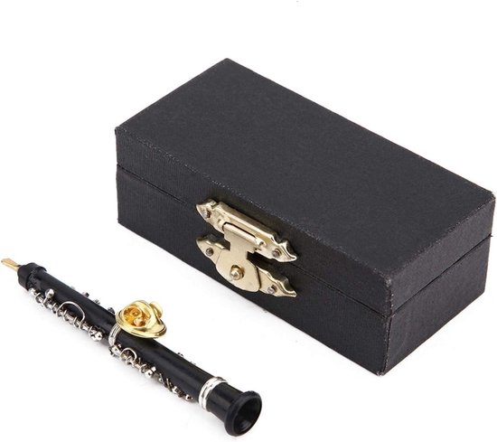 Mini Hobo Broche van Muziekinstrumenten - Muziekpin met Cadeauverpakking voor Feestjes en Vrouwen, Perfect voor Verjaardagen en Speciale Gelegenheden van Merkloos