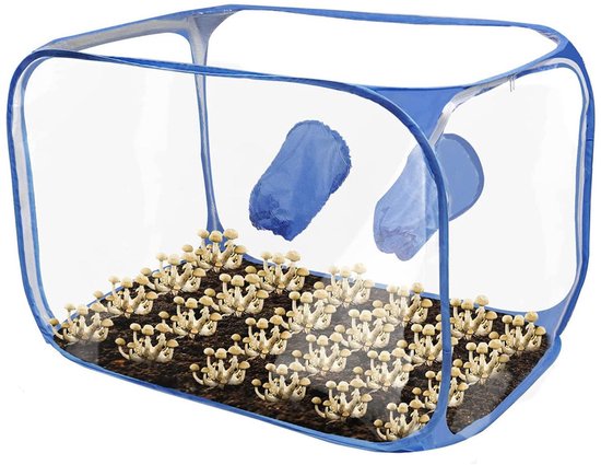 Mushroom Growing Silent Air Box, Mushroom Growing Kit for Home, Mushroom Tent Store Your Mycology Mushroom Grow Bags with 2 Arm Gates