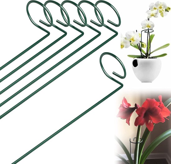 Ondersteuningsring voor planten - Metalen tuinsteun van 40 cm voor tomaten, lelies en rozen