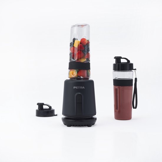 Petra Personal Blender – Elektrische Smoothie Maker – RVS Mes – 350W van Merkloos