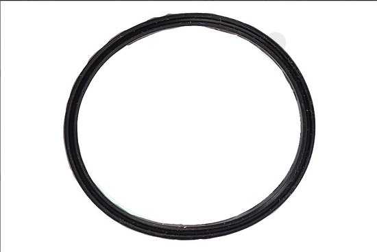Philips Afdichtingsrubber 300005785201 van Philips