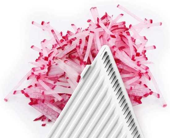 Roestvrijstalen Snij-Inzetstuk voor Schijven en Strips van Merkloos