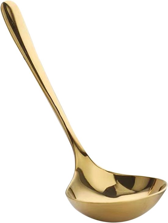 Roestvrijstalen Soeplepel met Lange Handgreep voor Soepen en Sauzen - 20 cm, Keukenaccessoire, Duurzaam en Ergonomisch van Merkloos
