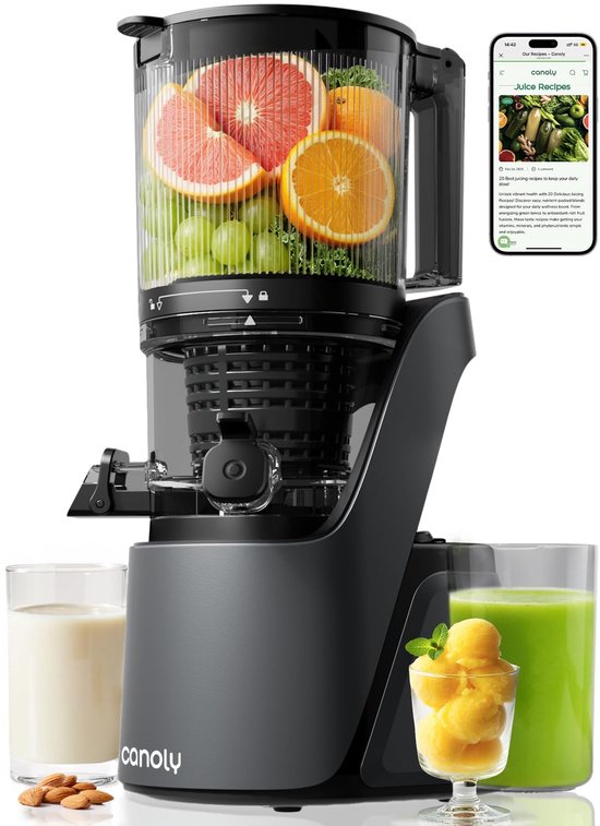 Slowjuicer 250W koude persing met 2,6 liter capaciteit stille motor en extra grote vulopening voor fruit en groenten grijs