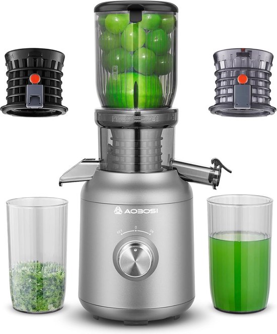 Slowjuicer 250W met brede Invultrechter (103 mm) - Stille Perscentrifuge voor Fruit & Groenten van Merkloos