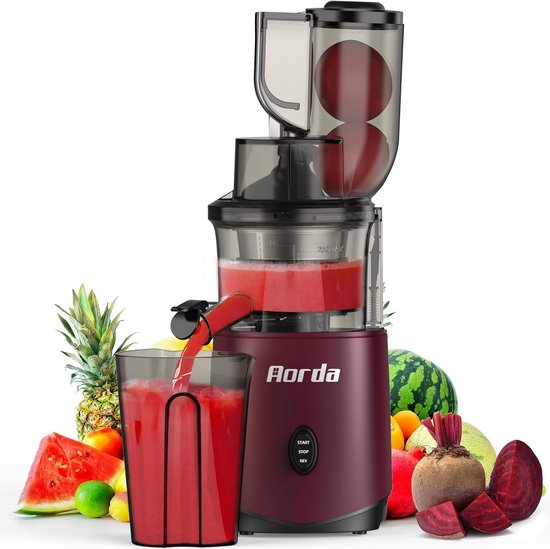 Slowjuicer Koudpers 200W – Stille Motor & Eenvoudig Reinigen – Sappers voor Groenten en Fruit van Merkloos