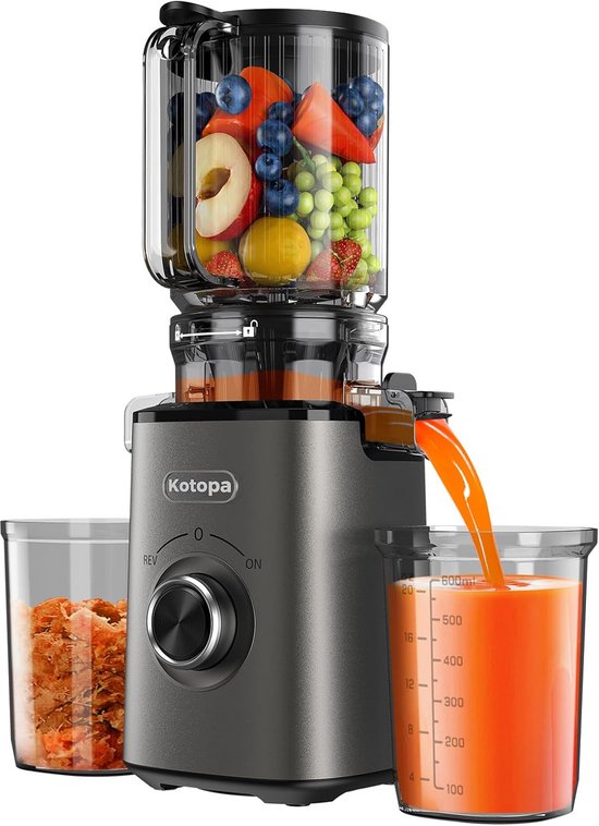 Slowjuicer met Extra Grote Vulschacht voor Groenten en Fruit van Merkloos