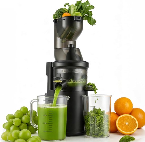 Slowjuicer - Sapcentrifuge - Gezond sap maken - Koudgeperst sap - Standaard formaat - Zilver