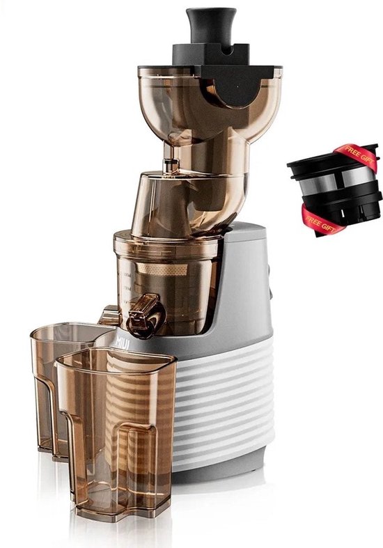Slowjuicer - Slow Juicer - Persmachine - Fruitpers - Sinaasappelpers - Appelsienpers - Drukmachine - Persmachine Vruchtensap - Pers Machine - Press Machine - IJsmachine - Keuken Apparaat - Met zeef - 1000ml - 60RPM - 250W van Merkloos