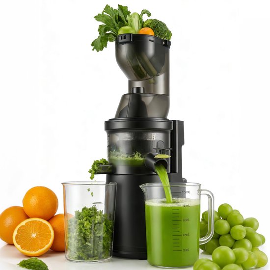 SnelShoppen - Eirolace Sapcentrifuge voor Groenten en Fruit, 170 mm Opening, 500 W Slowjuicer met 3 Snelheden en Omgekeerde Functie, Sapcentrifuge met