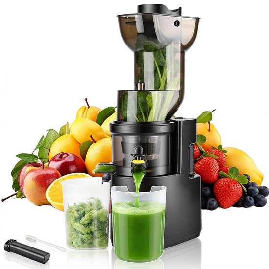 SnelShoppen - Rawhui Sapcentrifuge Slow Juicer 500 W met 98 mm Vulschacht, Testwinnaar, BPA-vrij, Ideaal voor Groenten en Fruit, Gemakkelijk te Reinig