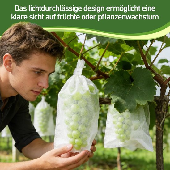 Solidchoice - Set van 100 Beschermzakken voor Druiven en Fruit